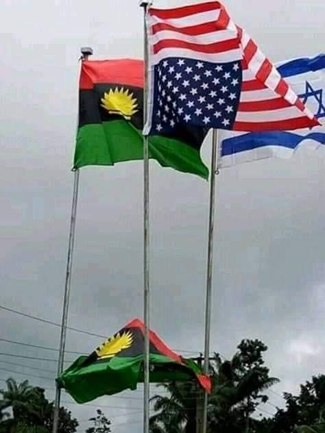 NnmdiP's tweet image. This is my biafra live