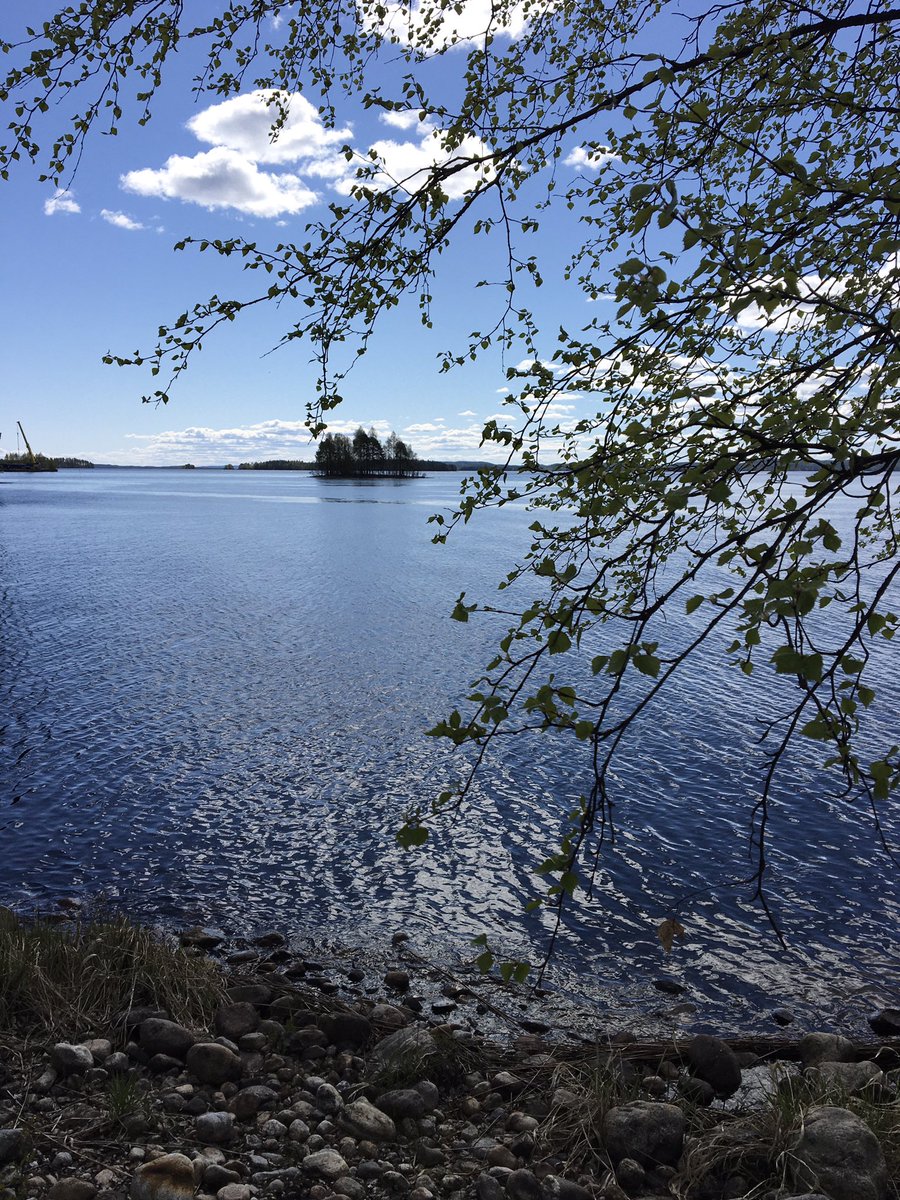 MillaRuokolain2's tweet photo. Lomaviikon lenkkimaisema ☀️ #pielinen #nurmes #pohjoiskarjala #toukokuu #kesä https://t.co/Jn8R9tuC0O