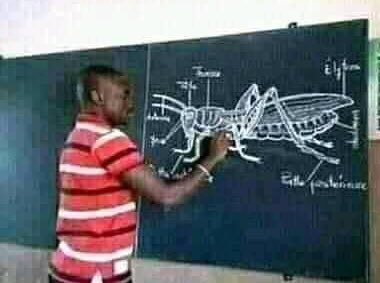 mrd377's tweet image. I would have been someone today and not just anybody if it wasn't for this. I projected radios not insects. Heavens why? 😢.
#FOCUS
#HUSTLENOW
#THOABM