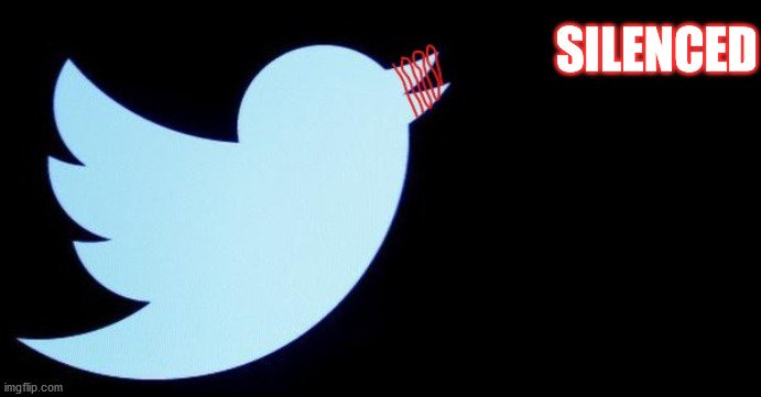 realmiapapaya's tweet photo. @DonaldJTrumpJr @SharNeal #MAGA2020
#PublisherNotPlatform https://t.co/nGTyFPzkqP