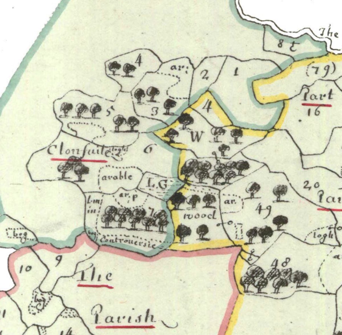 thread: in 1654 the Irish Civil Survey described the woods of Dungannon as 'very much destroyed & Wasted... There are yet some usefull Woods for Countrie buildings, as the Braintree, Clanaghery, Monterneavlin & Arratir'.at this time, the 'Braintree' woods spanned >500acres (pic)