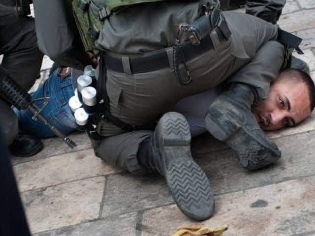 ahmtly565's tweet photo. #RAISETHEDEGREE
Everyday in Palestine... https://t.co/WXsSv0hWS1