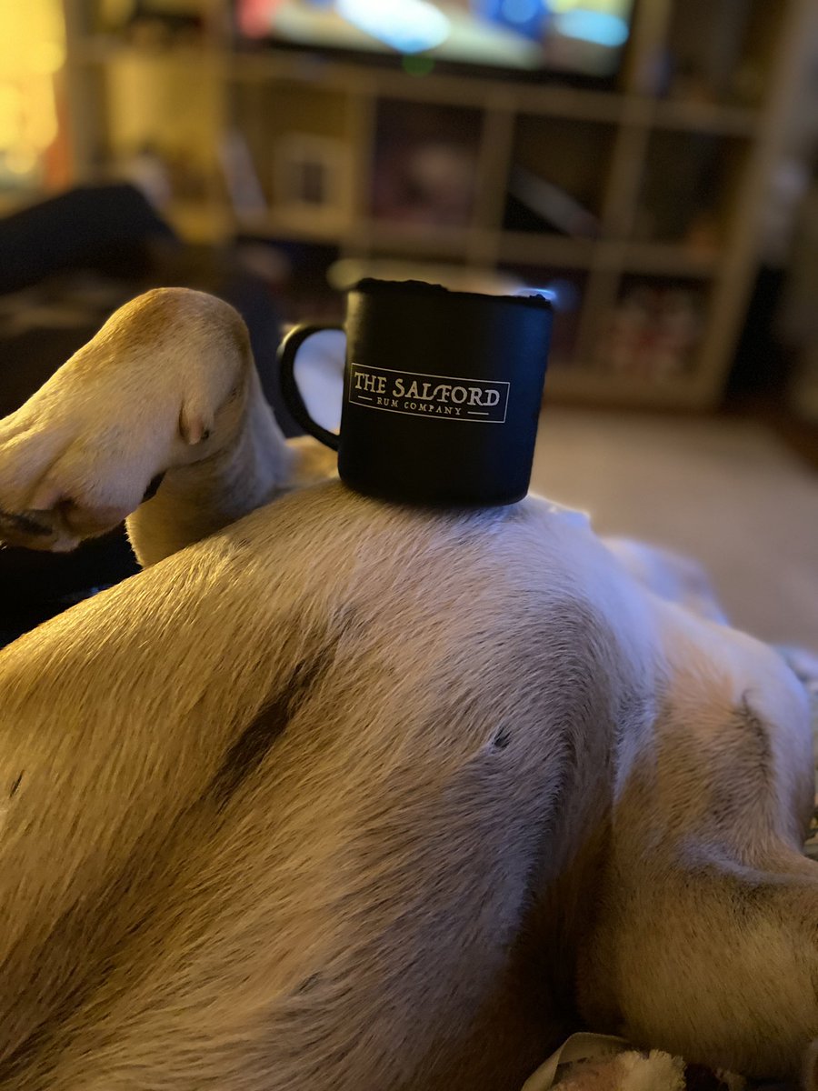 Thanks for today’s delivery <a href="/SalfordRum/">The Salford Rum Co.</a> Henry bulldog can hold his dark spiced