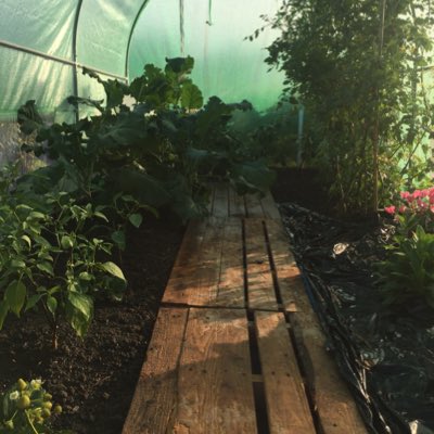 CogFarmsMCR's tweet photo. #NewProfilePic https://t.co/Yd0RKnX2EJ