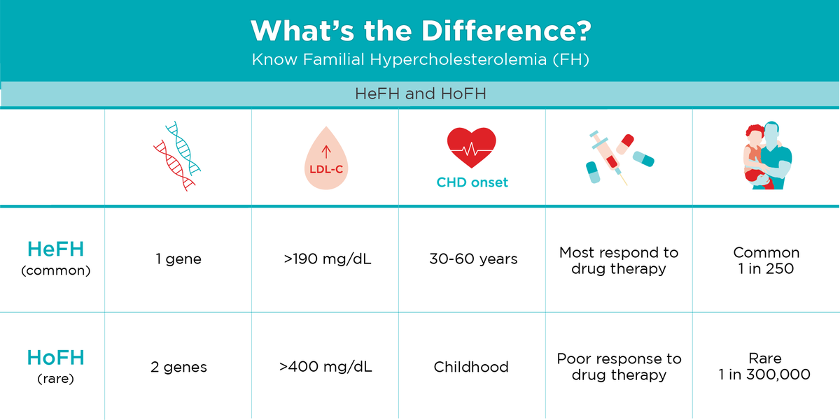 FamilyHeartFdn's tweet photo. #Didyouknow that there are two forms of familial hypercholesterolemia (FH)? HeFH is the more common form, and HoFH is the more #rare and severe form. #KnowFH #FHactFriday
Learn more:
https://t.co/lAXW888mft https://t.co/eK8HO4iocf