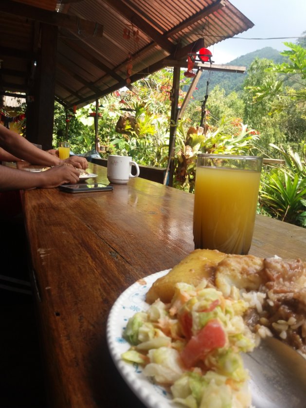 Elbalcondelosc1's tweet photo. deliciosos menús para realizar los avista miento de aves  un lugar muy tranquilo y confortable @pajareandoencasa @ColombiaBF @NatGeo_la @naturaleza@pajareandoencasa @ColombiaBF @NatGeo_la @nuturaleza https://t.co/YQ02Zm8Jvx