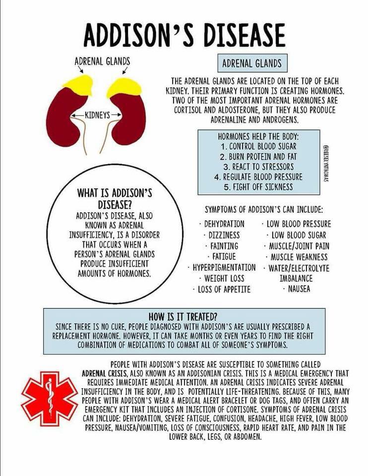 Addisons_and_AI's tweet image. Today is international Addison&apos;s awareness day!

Here is a picture that might help spreading the awareness regarding this disease.

#addisonawareness #addisonday #addisonawarenessday
#TogetherWeAreAIStrong