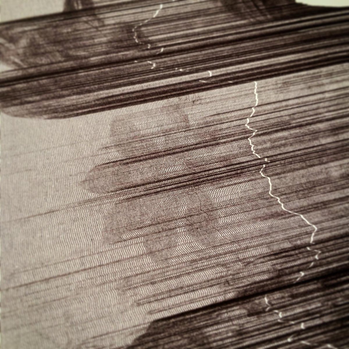 algorigraph's tweet image. glitch art still life.
#plottertwitter