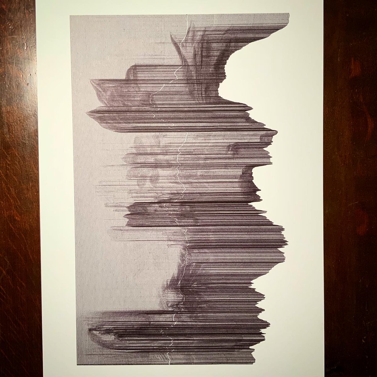 algorigraph's tweet image. glitch art still life.
#plottertwitter