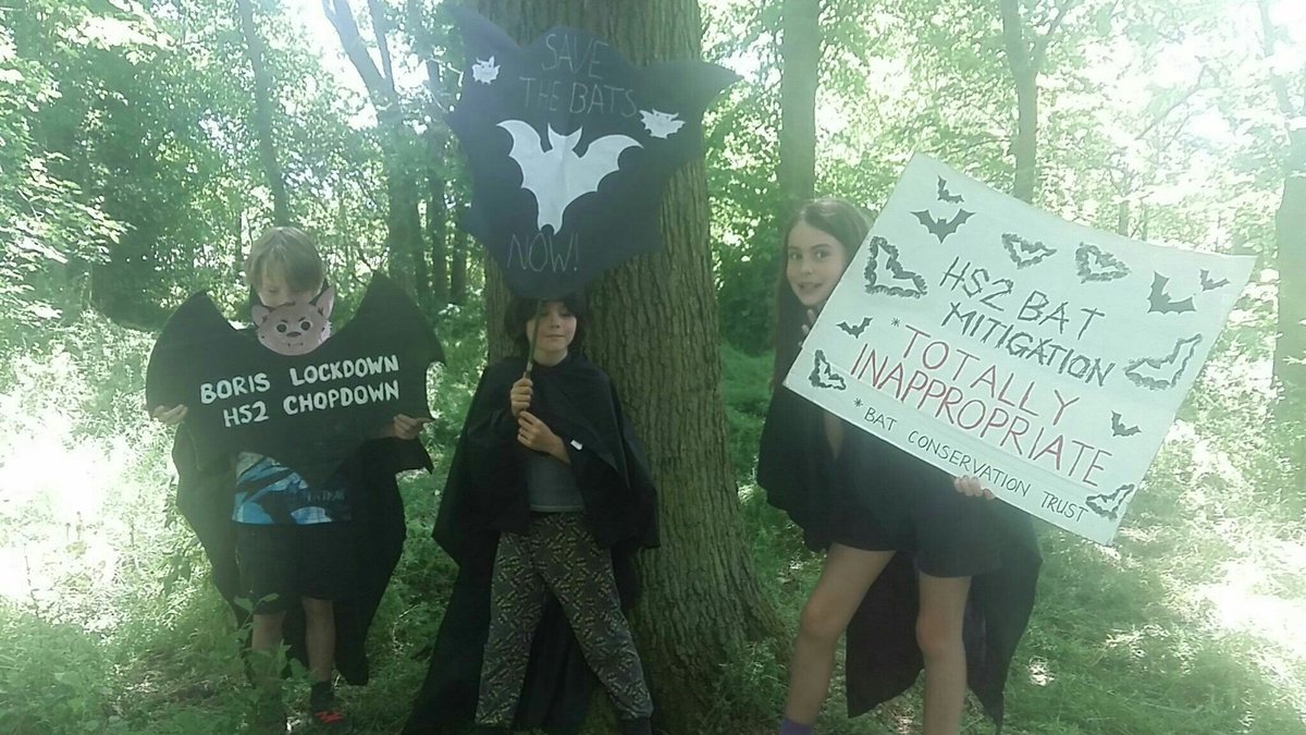 Hs2Rebellion's tweet image. HS2 Rebellion national day of Bat-themed Action is to highlight that HS2 is permanently destroying thousands of potential bat roosts during roosting season.
Bat Action in Steeple Claydon ...
#NHSnotHS2  #StandForTheTrees @stophs2