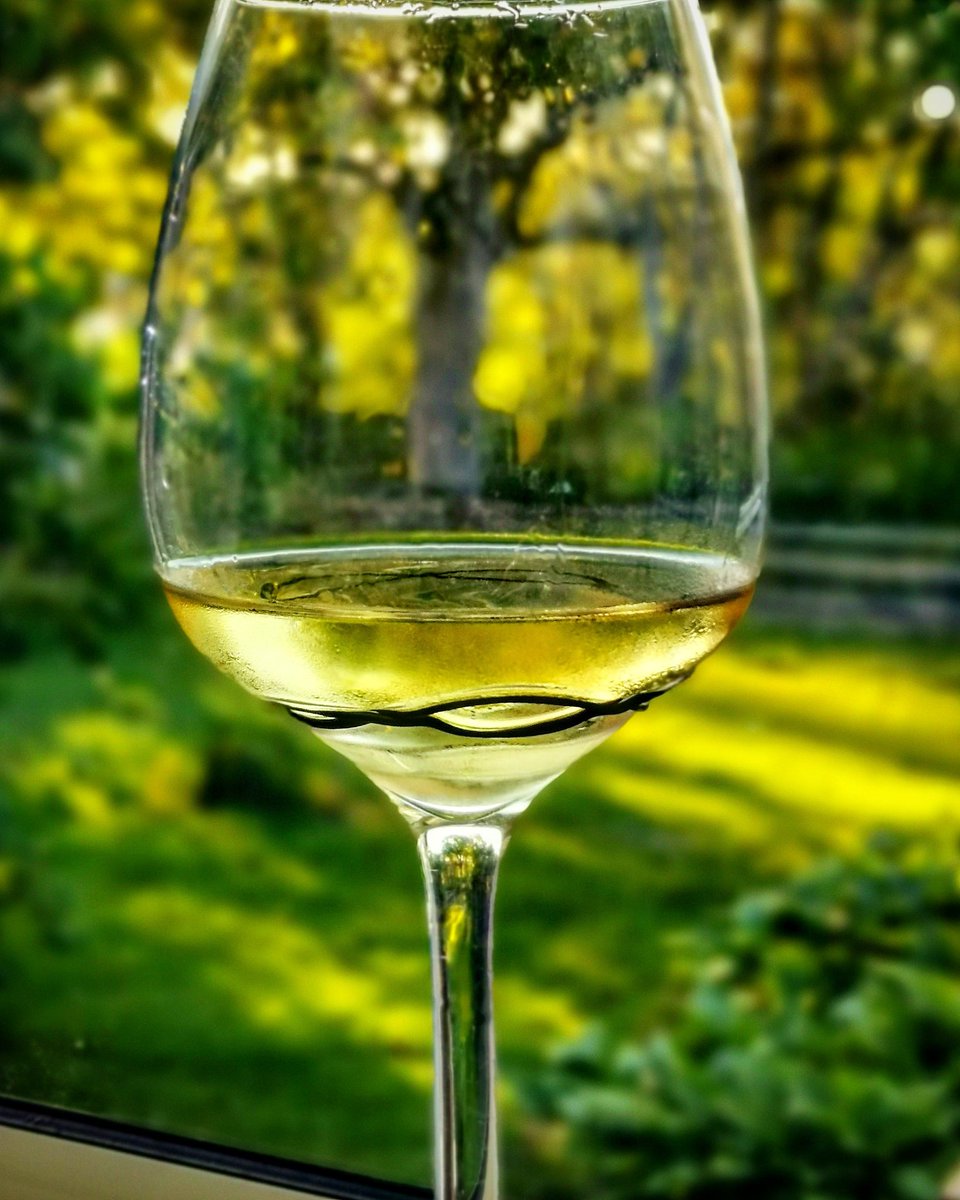 Ett glas chardonnay i solnedgången kan behövas i dessa covidtider. Corona'n kommer lite för nära just nu. Måste möblera om i hjärnan och se allt det positiva i tillvaron istället för att ständigt vara rädd. 🍀💚🍀