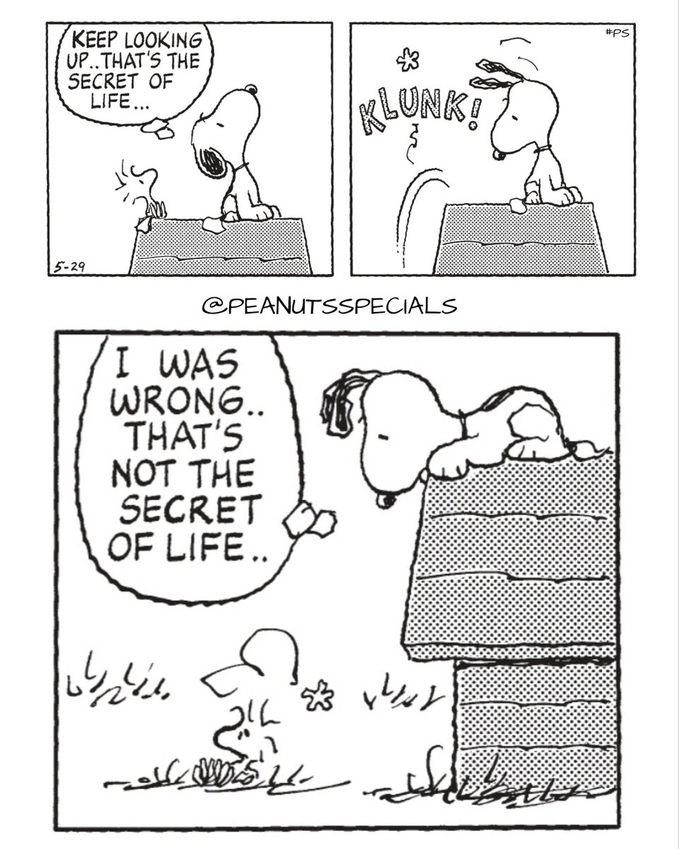 Peanuts Specials First Appearance May 29 1999 Peanutsspecials Ps Pnts Peanuts Schulz Peanutshome Peanutsstrong Snoopy Woodstock Keep Looking Up Secretoflife Klunk Wrong Not Secret Of Life T Co Umjomw0uox