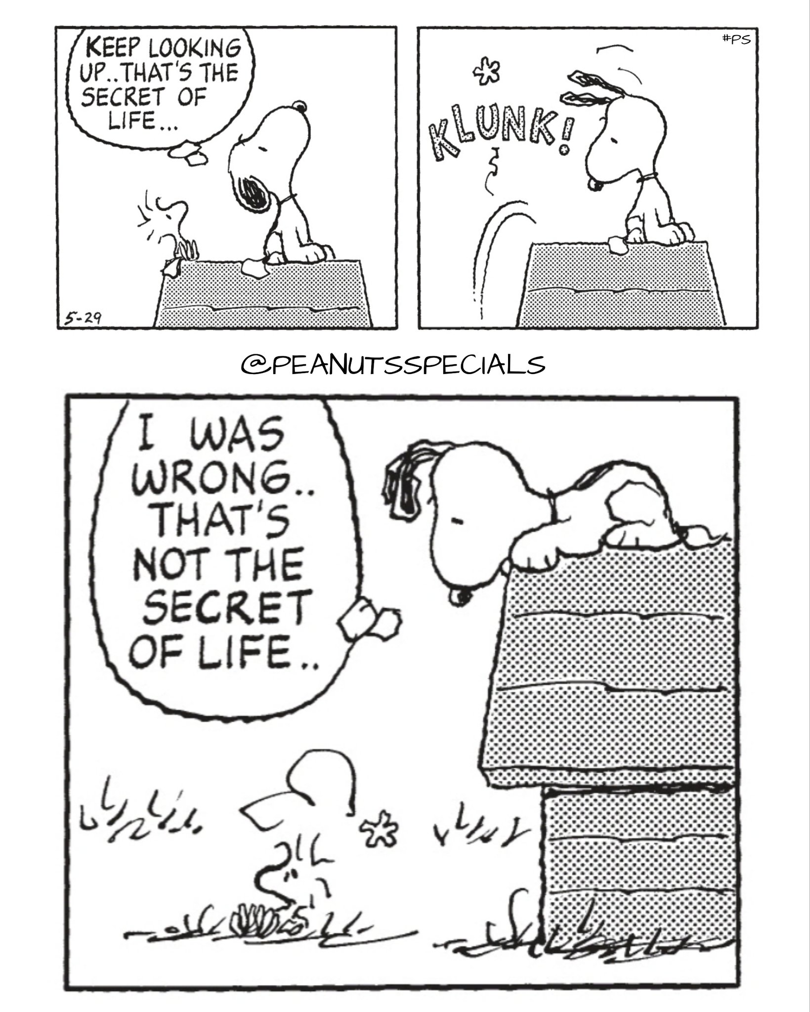Peanuts Specials First Appearance May 29 1999 Peanutsspecials Ps Pnts Peanuts Schulz Peanutshome Peanutsstrong Snoopy Woodstock Keep Looking Up Secretoflife Klunk Wrong Not Secret Of Life T Co Umjomw0uox Peanuts Specials First Appearance May 29 1999 Peanutsspecials Ps Pnts Peanuts Schulz Peanutshome Peanutsstrong Snoopy Woodstock Keep Looking Up Secretoflife Klunk Wrong Not Secret Of Life T Co Umjomw0uox