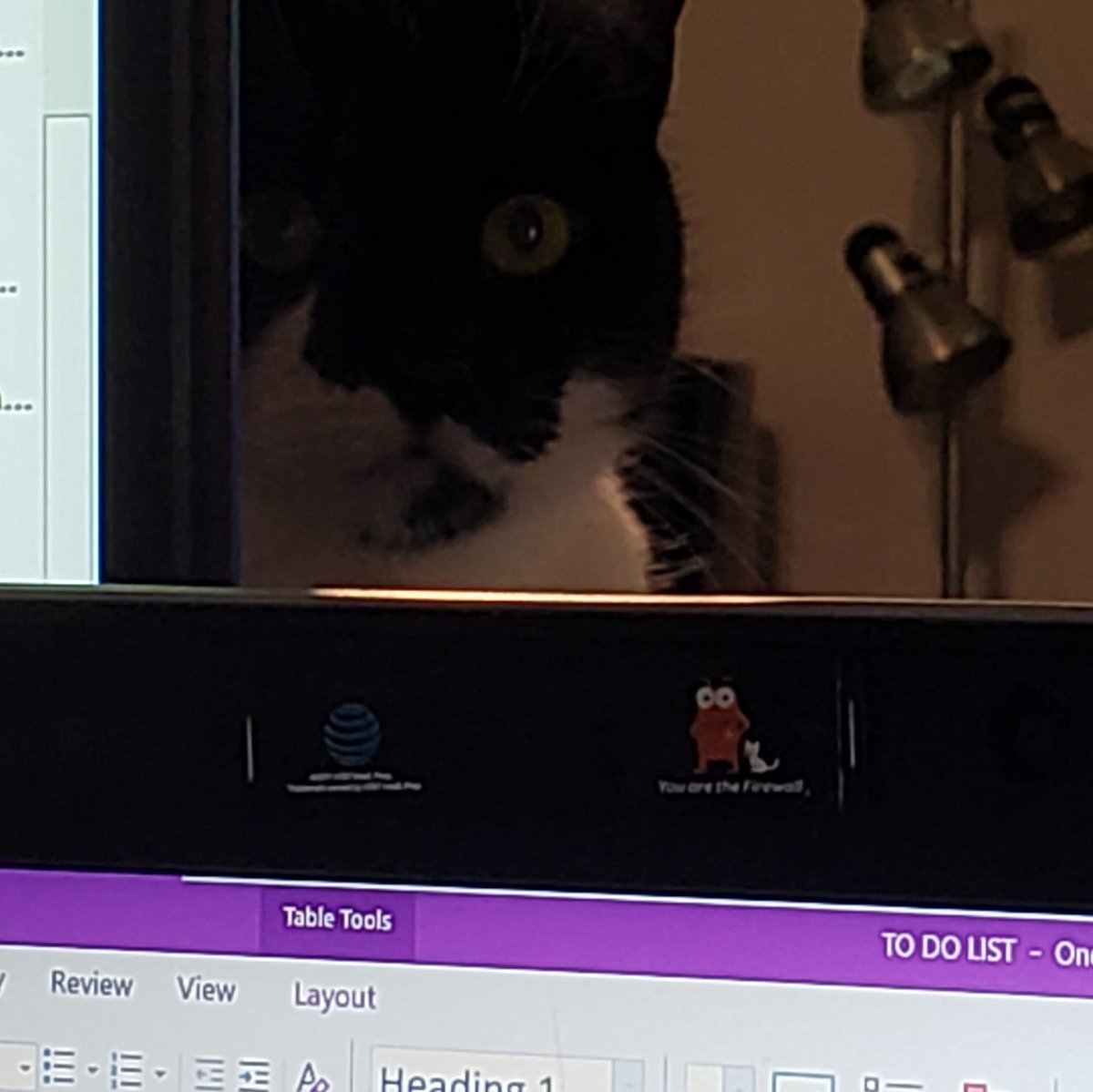 Doti Butler tweet media