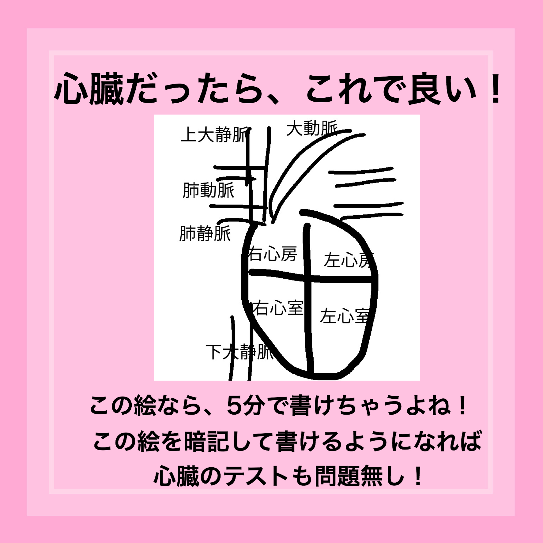 もちゆきナース 解剖生理学の勉強方法は きれいな解剖の図をノートに描く のではなく 簡単なイラストを10回書くこと 教科書の解剖図のように 色鉛筆使って芸術的な解剖をノートに書けても 頭に入ってなきゃ意味ありません 勉強し