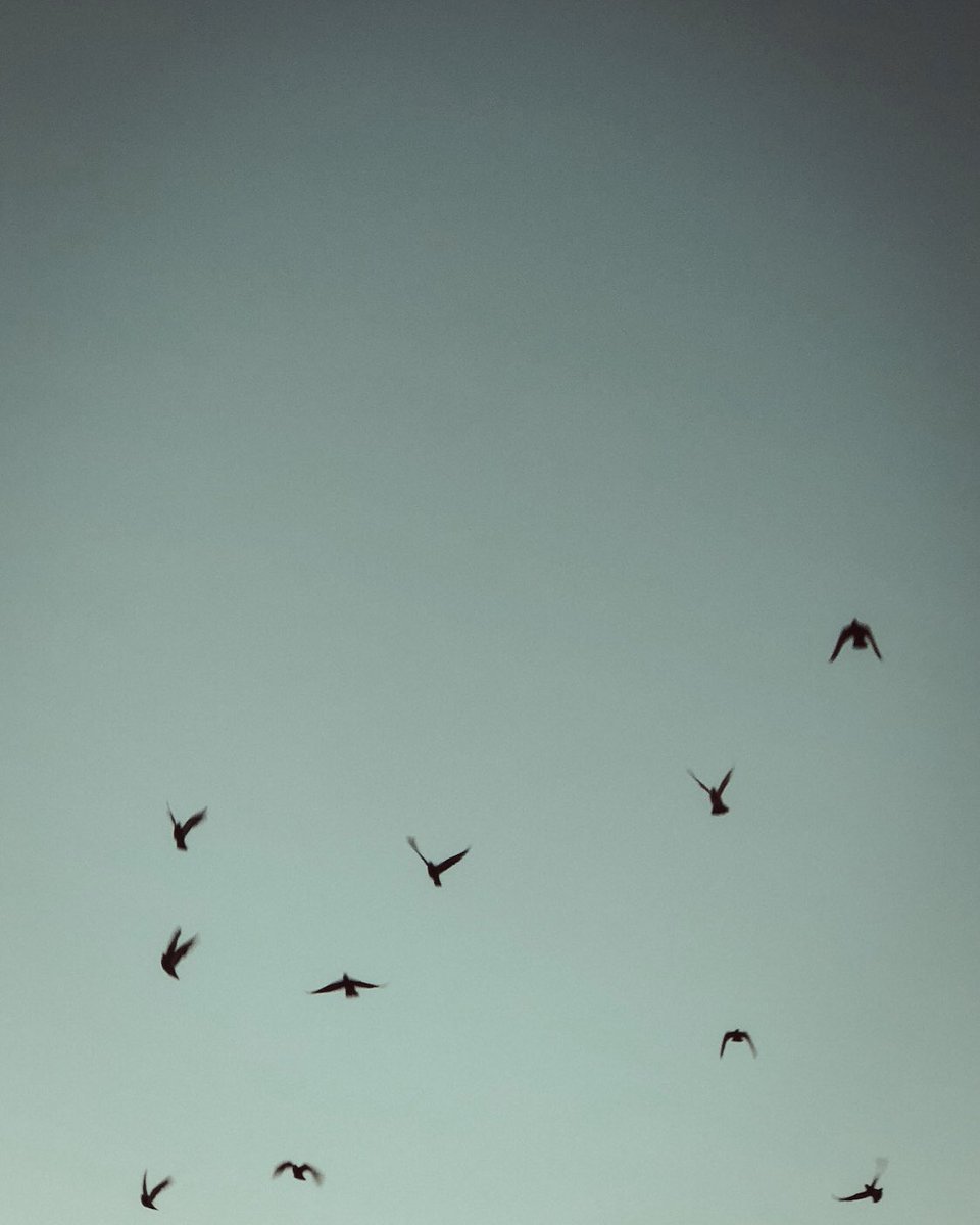 niiw__ tweet picture