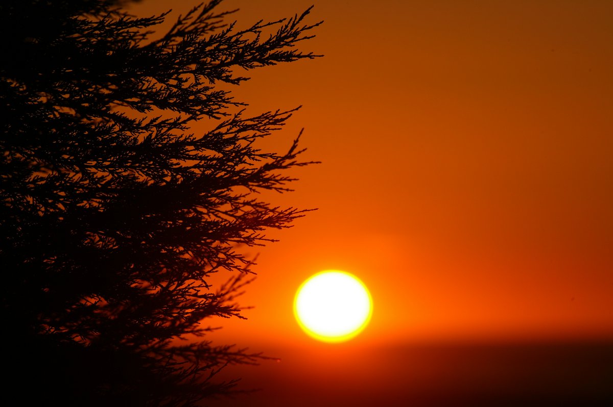 Loyola Marymount University tweet media