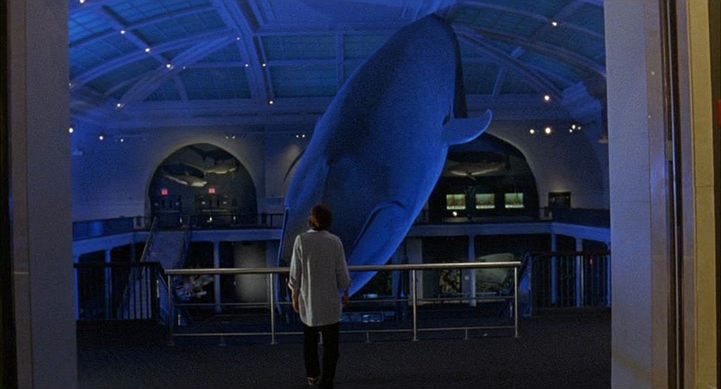 The Squid and the Whale (2005, Noah Baumbach)