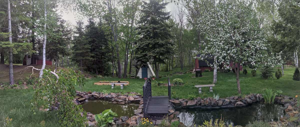 Jeter Hall (@jeterchall) on Twitter photo It is a gorgeous spring in <a href="/GreaterSudbury/">Greater Sudbury</a>. I expect that apple tree will bring some bears this fall. It is a gorgeous spring in <a href="/GreaterSudbury/">Greater Sudbury</a>. I expect that apple tree will bring some bears this fall.