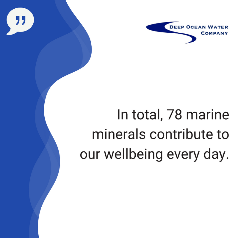 DeepOceanWater1's tweet photo. Composed exclusively of the purest deep waters, contains no trace of pollutants, pesticides, or other. 💧

🔗 https://t.co/5GcwiXGmFc

#Deepoceanwater #Sea #DrinkSeawater #Marineminerals  #Waterfacts https://t.co/LNxdFVXMZ6