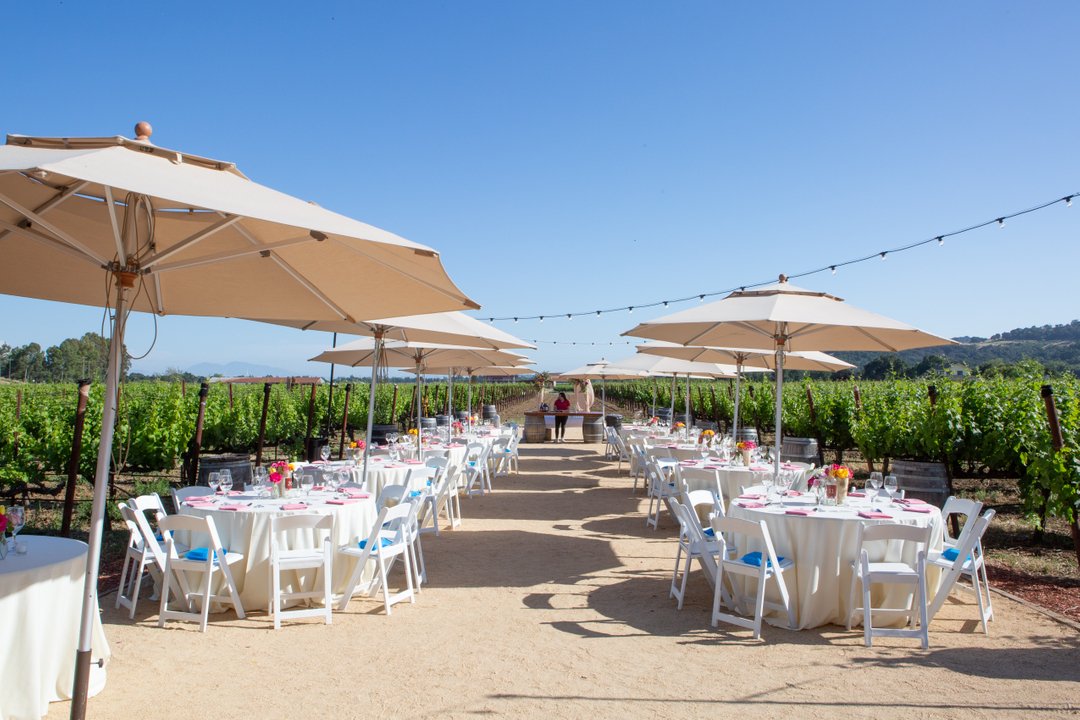 Off The Beaten Path tweet media