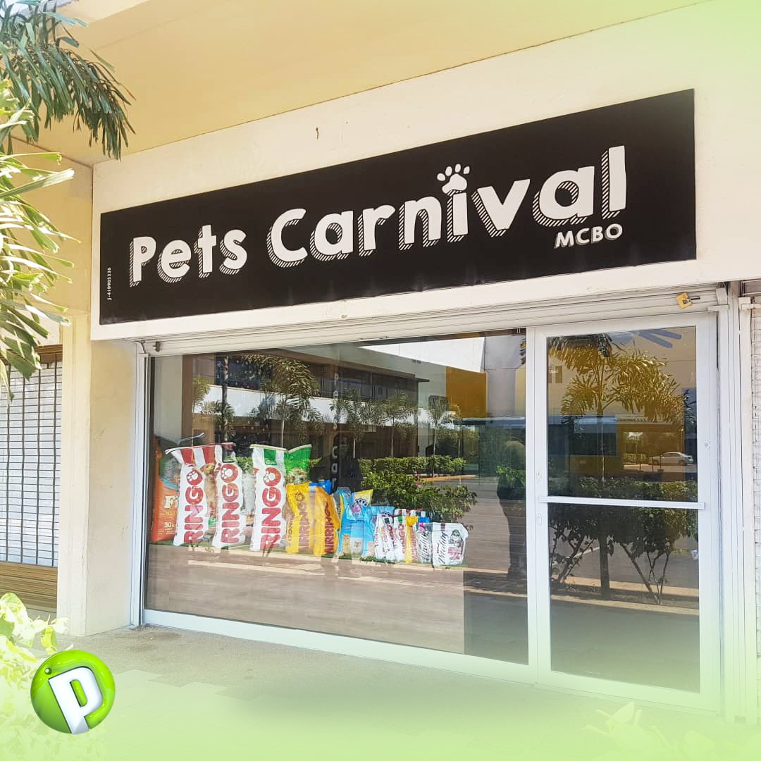 ProgesaMcbo's tweet photo. Gigantografías que enamoran😍

Fachada para @petscarnivalmcbo un emprendimiento que esta apostando en la ciudad, a pesar de las adversidades. Gracias por elegirnos🙌

#publicidad #gigantografia #banner #vinilo #design #pets #carnival #maracaibo #emprendimiento #bastidores https://t.co/ACONrTIwY1