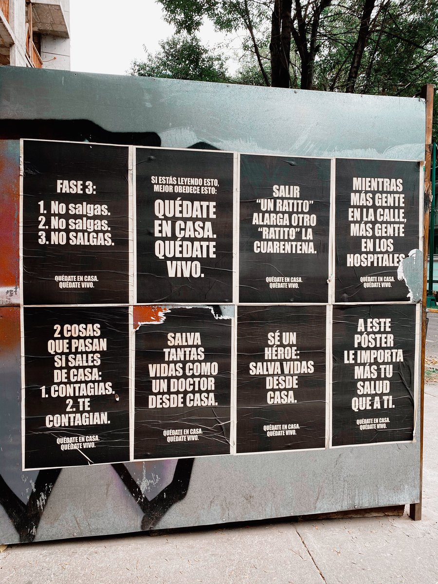 Maru Ribao tweet media