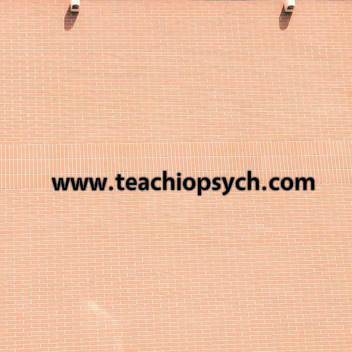 Department12 Podcast tweet media