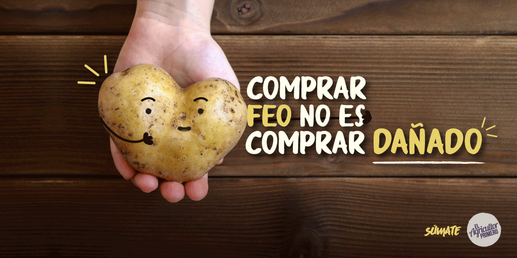 ElAgricultor1ro's tweet photo. Muchos alimentos llegan a lucir deformes trás estar expuestos a fuertes cambios climáticos durante su producción. Sin embargo, sus deformaciones no son sinónimo de ser alimentos dañados. Conoce más del movimiento de los feos pero sabrosos aquí 👉👉https://t.co/ukDYEBPBq1 https://t.co/SS3YNUWmIL