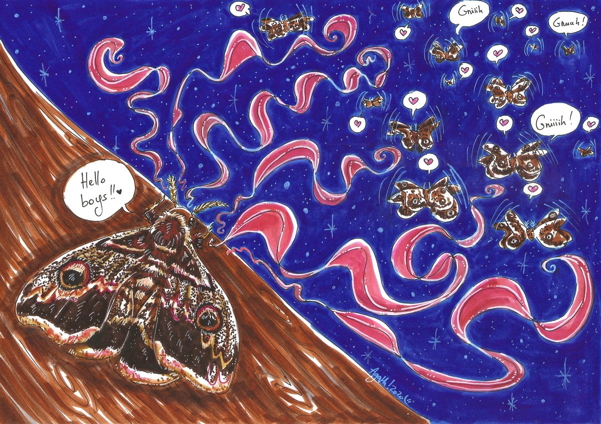 Leniddepie's tweet photo. Voici mon dessin pour le #drawingchallenge sur la chimie @palaisdecouvert ! J'ai représenté une femelle Grand paon de nuit et ses prétendants attirés par un message odorant, une observation qui date de Jean-Henri Fabre, bien avant la découverte des phéromones #LaScienceEstLa https://t.co/SZn7tWdKdX