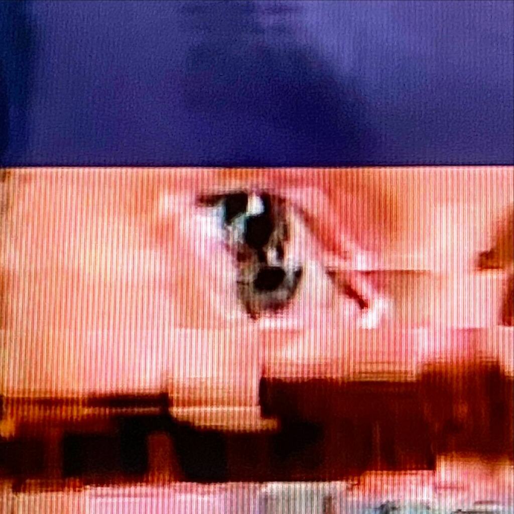 vollauschek's tweet photo. ((•.) There is always time for a bit of UK Freeview on the good old spare TV with terrestrial antenna. #glitchnews #talkingheads #breakingnews #glitch #portrait #glitchportrait #news #lockdown #quarantine #lockdownlondon #coronavirus #covid19 #c19 #c… https://t.co/IsHyqKLPSF https://t.co/w7rALnr7IB