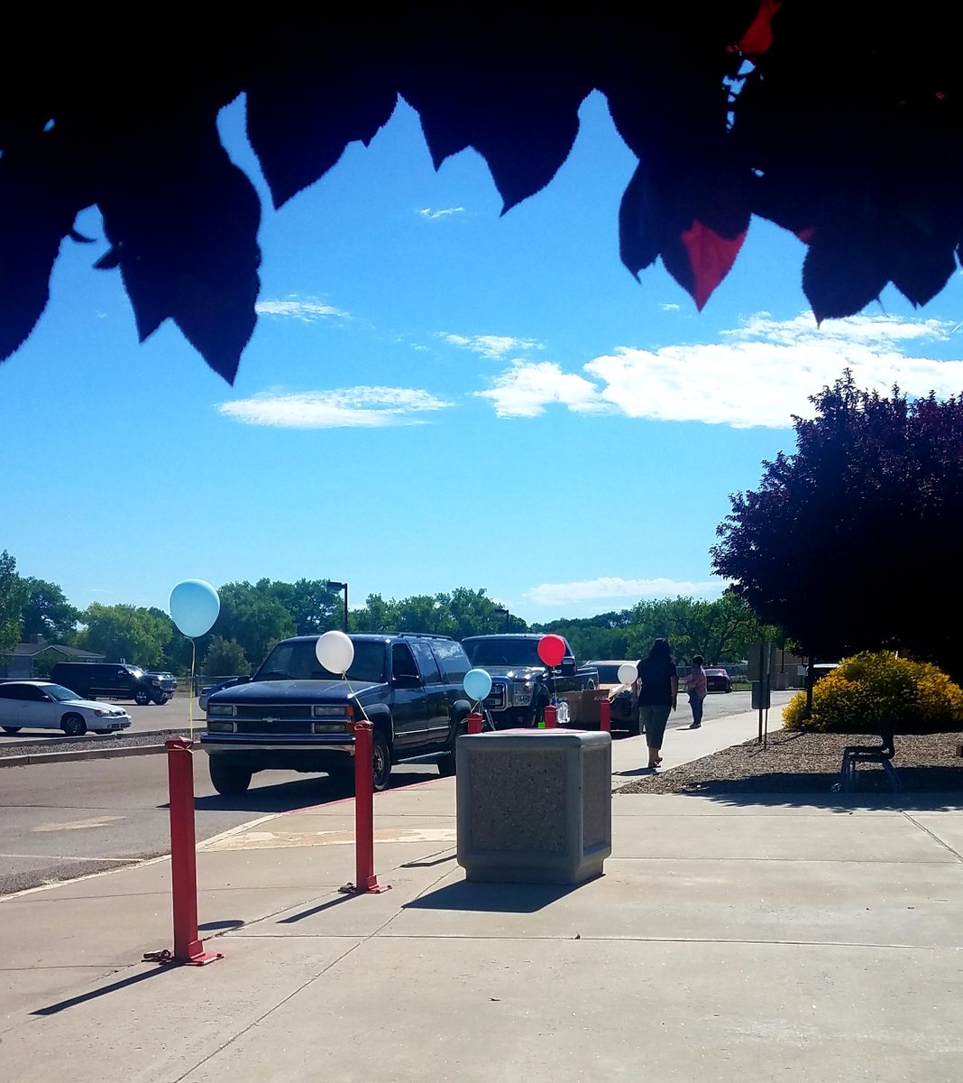 Karla Dow tweet media