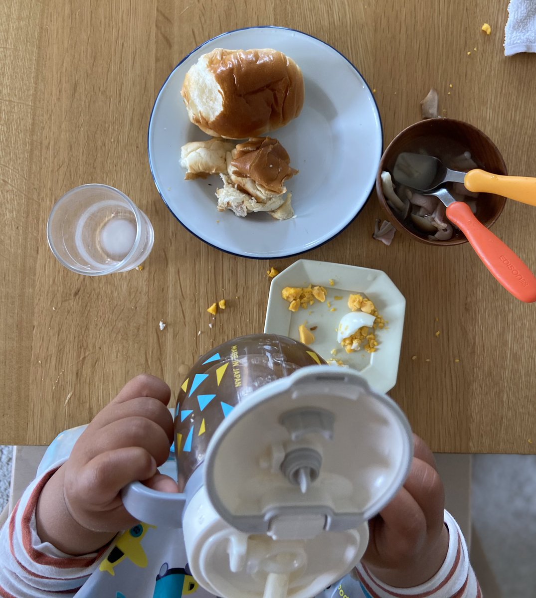 本田 よう一 3歳育児中 Auf Twitter 息子さん朝ごはん ロールパン ゆでたまご チーズ ハムときのこのスープ 牛乳 ロールパンは1個おかわり 牛乳は2杯 週末は自分も休みように心がける 朝ごはん ほぼ2歳児 男の子 幼児食
