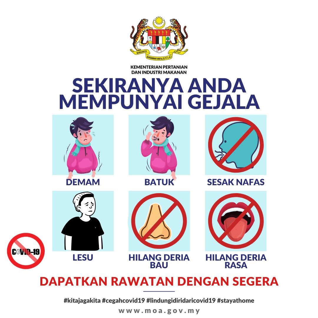 Mafi On Twitter Sekiranya Anda Mengalami Gejala Seperti Lesu Hilang Deria Bau Hilang Deria Rasa Demam Batuk Dan Sesak Nafas Dapatkan Segera Rawatan Di Klinik Atau Hospital Berdekatan Bagi Melindungi Diri Anda