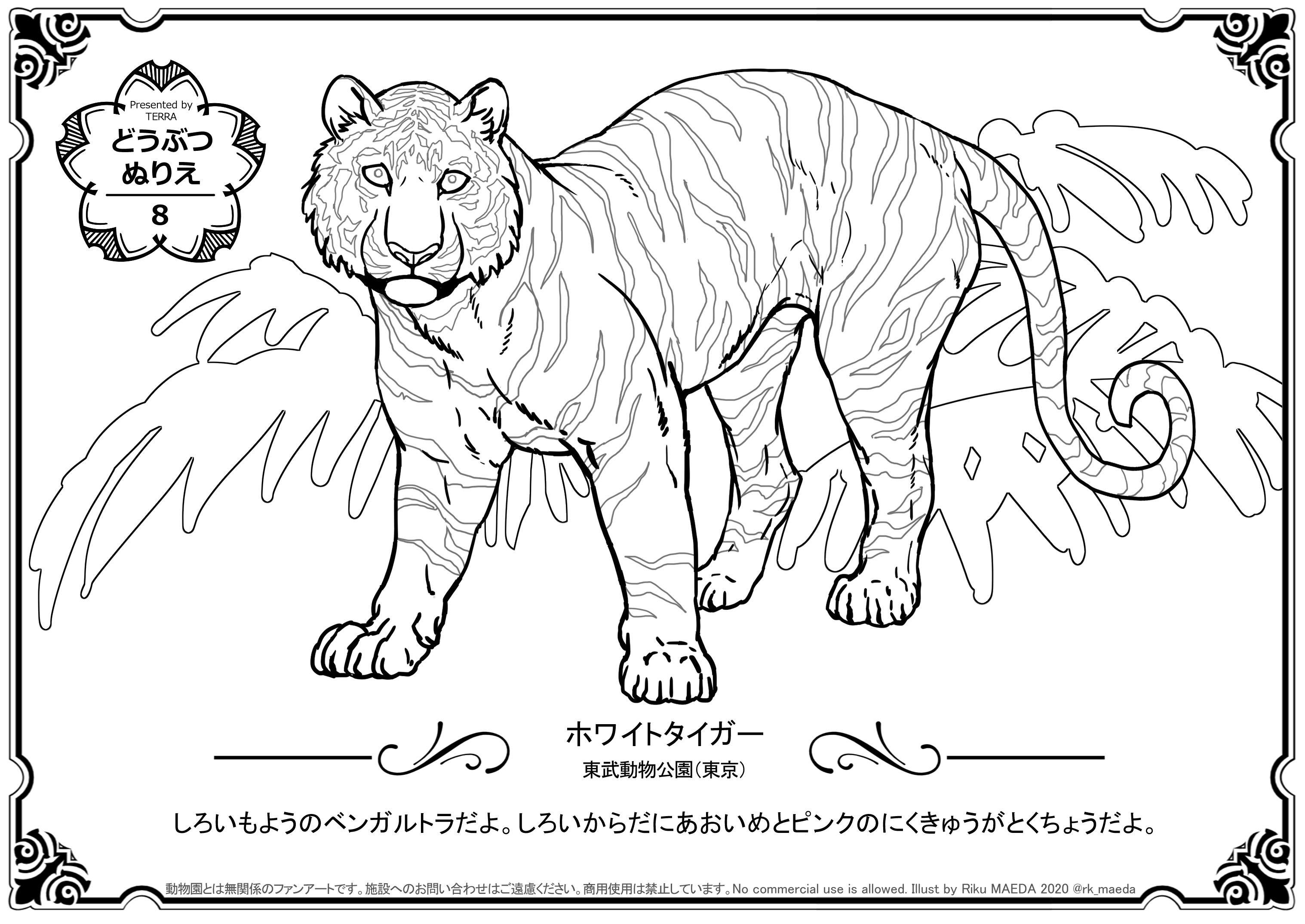 前田陸 どうぶつぬりえ 終 休園中の動物園水族館を応援 各園から1頭づつぬりえをアップします 緊急事態宣言解除に伴い今回で終了いたします ありがとうございました Pngを印刷またはネットプリント セブン できます ホワイトタイガー 番号