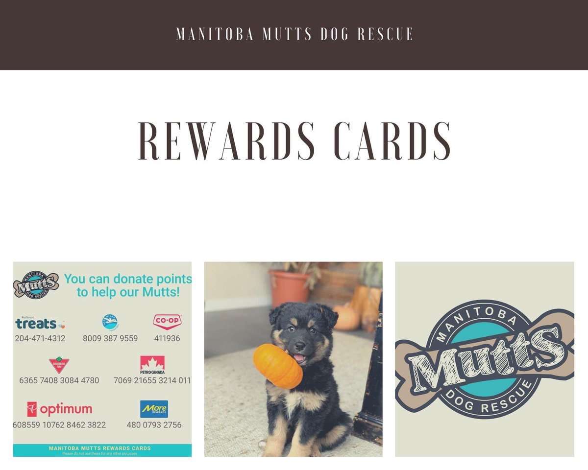 ManitobaMutts's tweet image. Did you know MMDR has reward cards? You can add the card numbers to the stocard phone application for quick scan or provide the numbers to the cashier to donate your points. Please remember not to redeem these points for yourself as we do use them for our animals in care. 🐾