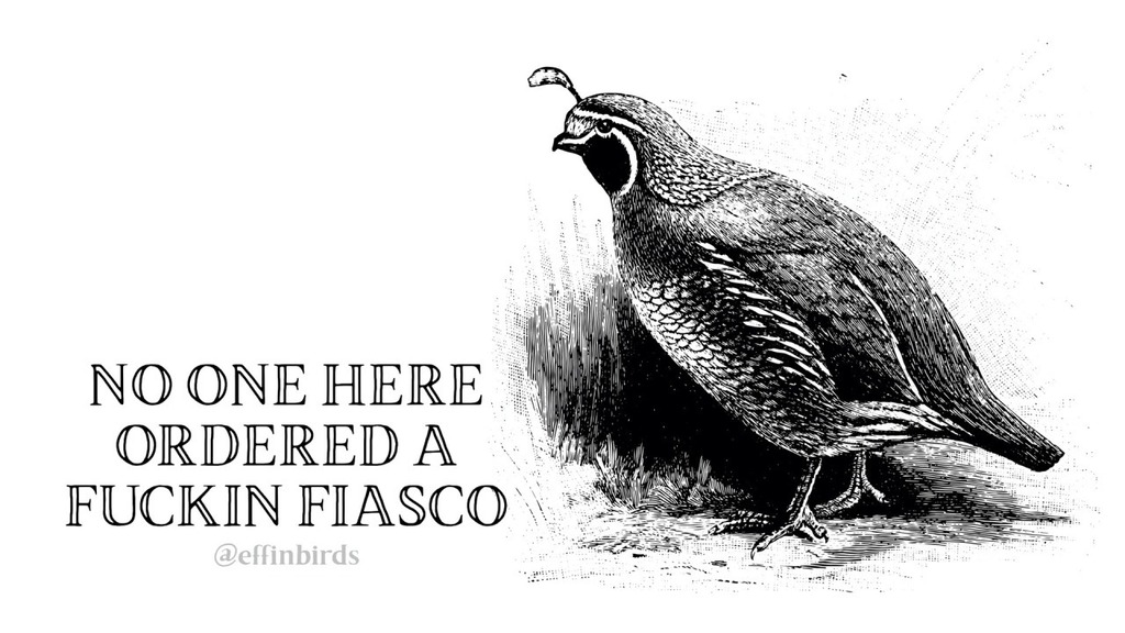 Effin' Birds (@EffinBirds) on Twitter photo 01/06/2020 12:13:25 Effin' Birds (@EffinBirds) on Twitter photo 01/06/2020 12:13:25