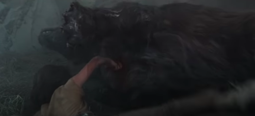 Mammals_Suck's tweet photo. @NeoprotFossil Looking past the DOUBLE CANINES... I am pretty sure I see CARNASSIALS. Also the black bear like body. #Carnivora #Caniformia https://t.co/WOfZTjlH4K