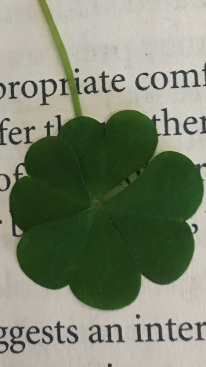 The #RAPIDtrial has enrolled 3 pts with #COVID19 coag in its 1st wk. Open x2 sites. Words cannot begin to express my gratitude,my hope. ❤️<a href="/MaryCushmanMD/">Mary Cushman 🫀🧠🩸</a> <a href="/MiddeldorpS/">Saskia Middeldorp</a> <a href="/fniainle/">Fionnuala Ní Áinle</a> @Lbkreuziger <a href="/ghltang/">Grace Tang</a> <a href="/VidushiSwarup/">Vidushi</a> @james_paulad <a href="/DavidLillicrap/">David Lillicrap</a> @NTConnell <a href="/MarcCarrier1/">Marc Carrier</a> <a href="/danlindsayy/">Daniel Lindsay</a>