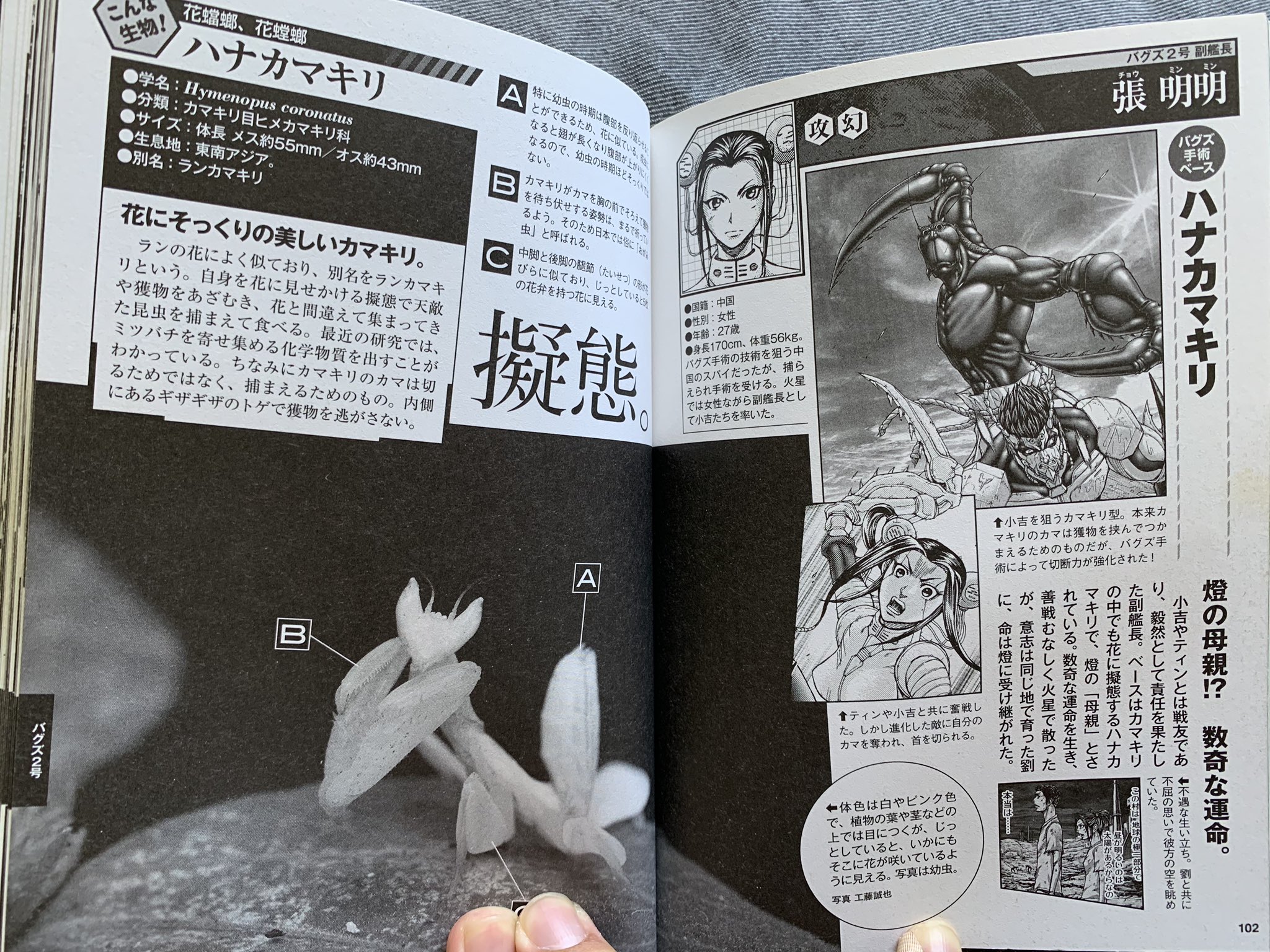 ট ইট র 川尻a5 ラランテス好き ハナカマキリ好きの根源はテラフォーマーズの副艦長 ট ইট র 川尻a5 ラランテス好き ハナカマキリ好きの根源はテラフォーマーズの副艦長