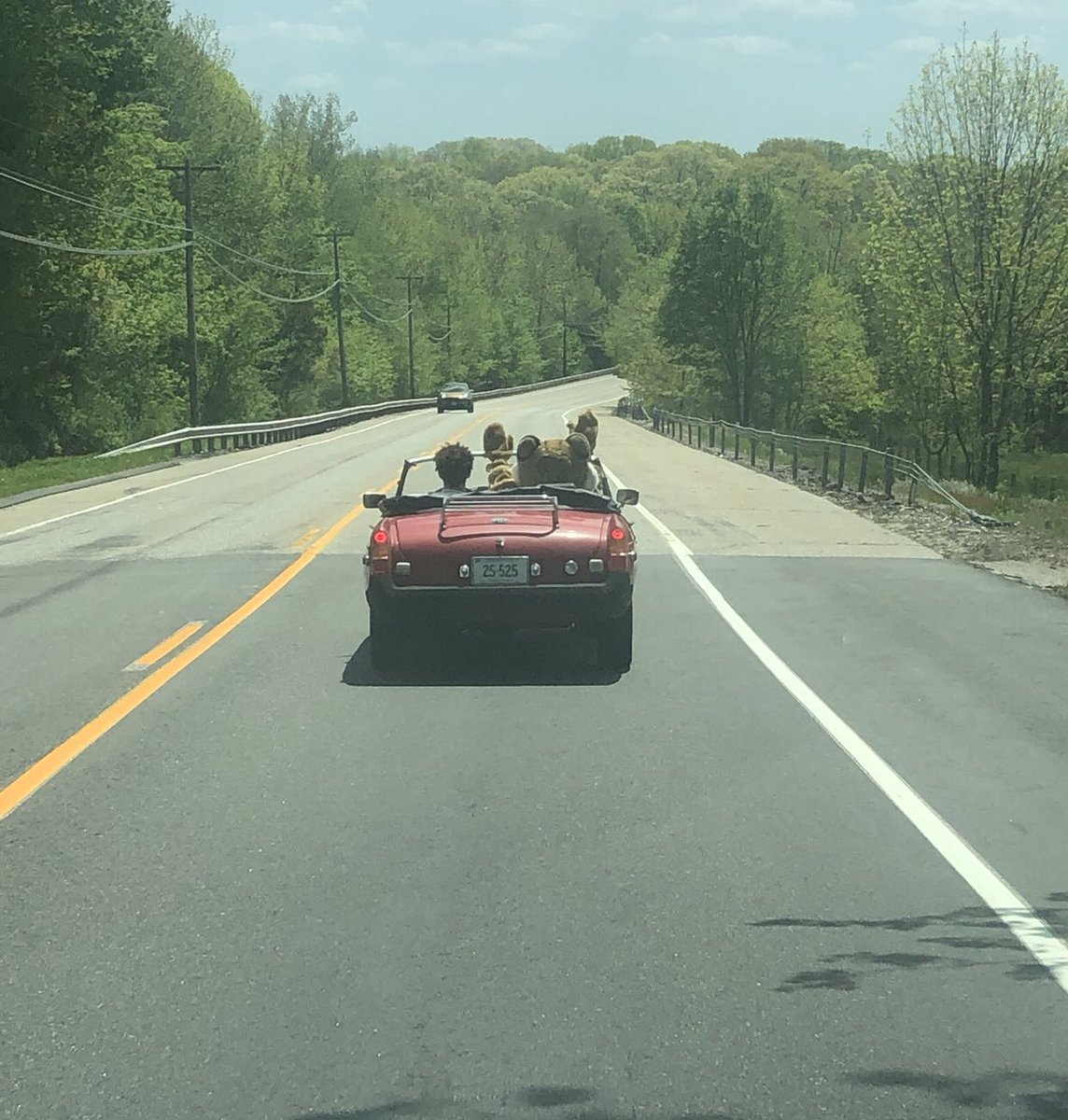 nwsbobcats's tweet photo. Congratulations to our 2019-20 NWS Teacher of the Year-Amy Lovejoy! Bobcat enjoyed visiting you today! (But of course, the convertible ride was his favorite part) #nwsbobcats https://t.co/6ggSWdTJi4