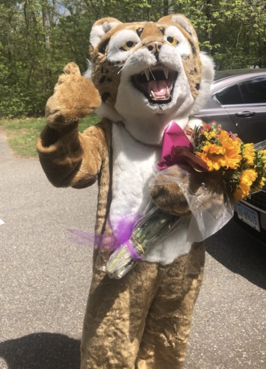 nwsbobcats's tweet photo. Congratulations to our 2019-20 NWS Teacher of the Year-Amy Lovejoy! Bobcat enjoyed visiting you today! (But of course, the convertible ride was his favorite part) #nwsbobcats https://t.co/6ggSWdTJi4