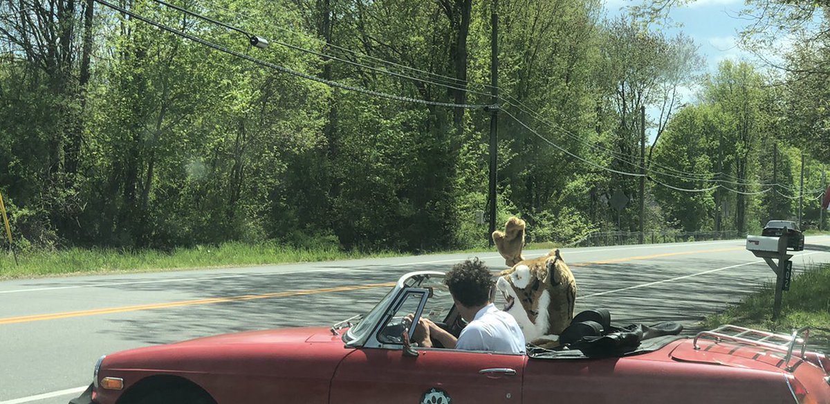 nwsbobcats's tweet photo. Congratulations to our 2019-20 NWS Teacher of the Year-Amy Lovejoy! Bobcat enjoyed visiting you today! (But of course, the convertible ride was his favorite part) #nwsbobcats https://t.co/6ggSWdTJi4