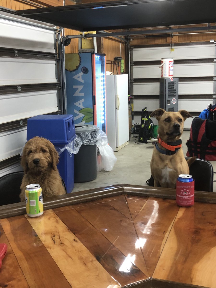 Shadyview Inn tweet media