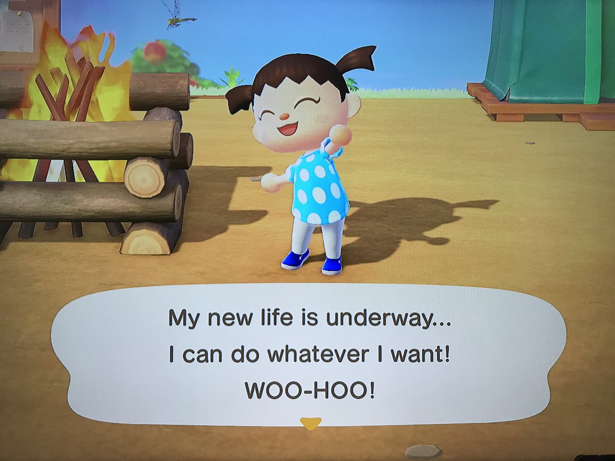 BarneStudio's tweet photo. We bought an island together...and #kilroywashere. 

#animalcrossing #animalcrossingnewhorizons https://t.co/PngdWl03EM
