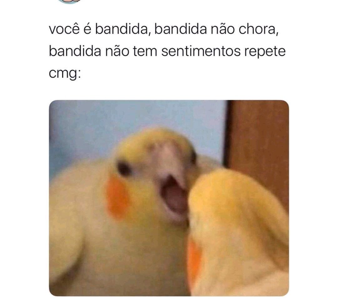 Docinhomalvadaa's tweet image. 