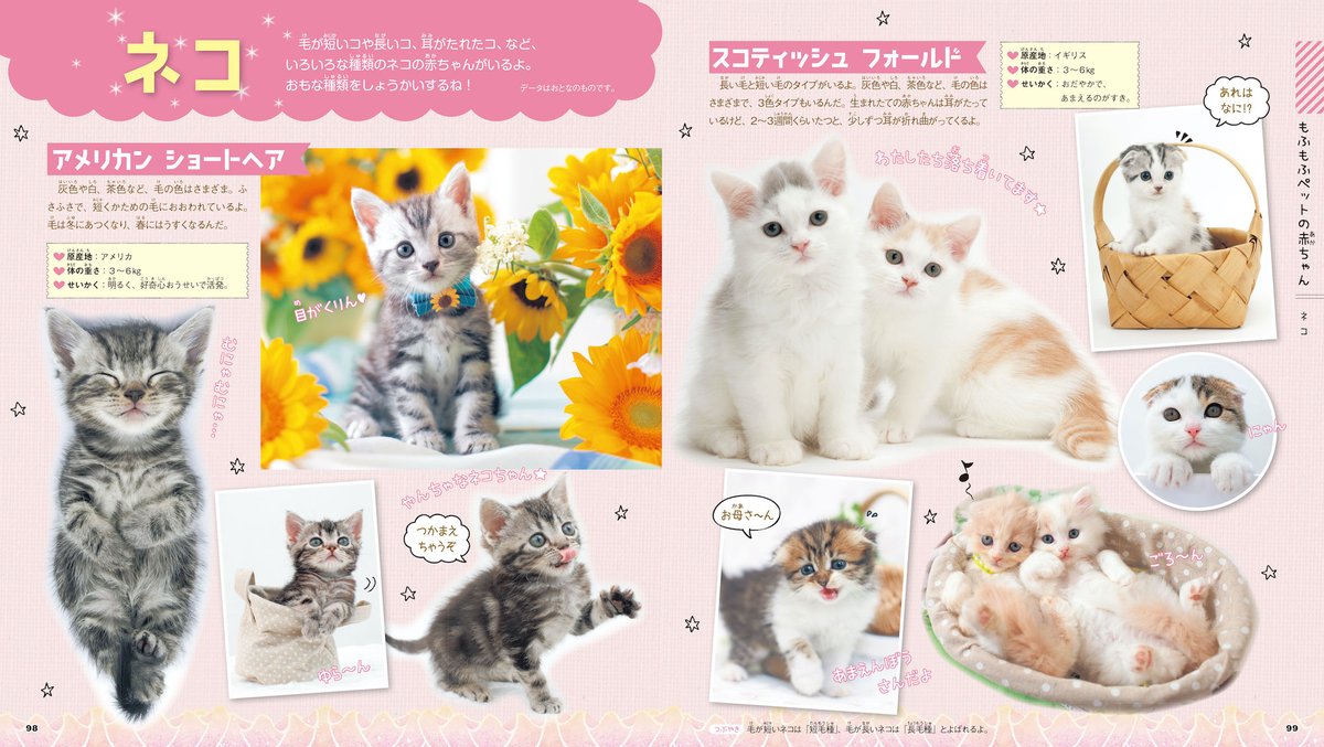 Cat Press على تويتر 学研の 図鑑live シリーズから最新刊となる もふもふ動物の赤ちゃん が登場 かわいい猫の赤ちゃん はもちろん 約1種類の動物の赤ちゃんが収録されているのですにゃ 図鑑 動物の赤ちゃん 学研 T Co Pdhefmigrm T Co Cat Press على تويتر 学研の 図鑑live シリーズから最新刊となる もふもふ動物の赤ちゃん が登場 かわいい猫の赤ちゃん はもちろん 約1種類の動物の赤ちゃんが収録されているのですにゃ 図鑑 動物の赤ちゃん 学研 T Co Pdhefmigrm T Co