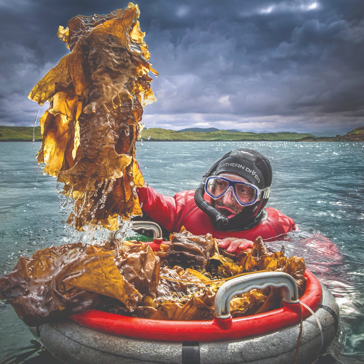 Whisky may be the tartan tipple, but innovative Scottish distillers are challenging that supremacy with an explosion of new gin brands that stand out at the bar, a merry Khalil Khairallah reports
boisdale.co.uk/journal/spirit…