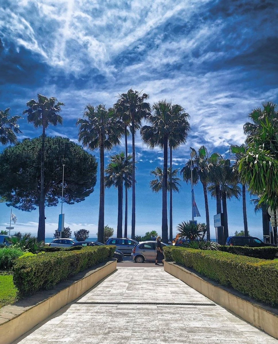 Cannes_France's tweet image. 🚶‍♂ Rues commerçantes piétonnes + 🚗 parkings gratuits = 🛍 SHOPPING 🛍 de rêve à #Cannes !

+ d'infos 👉cannes.com/fr/actualites/…
📷 kushhyaa
#CotedAzurFrance #cannesisyours