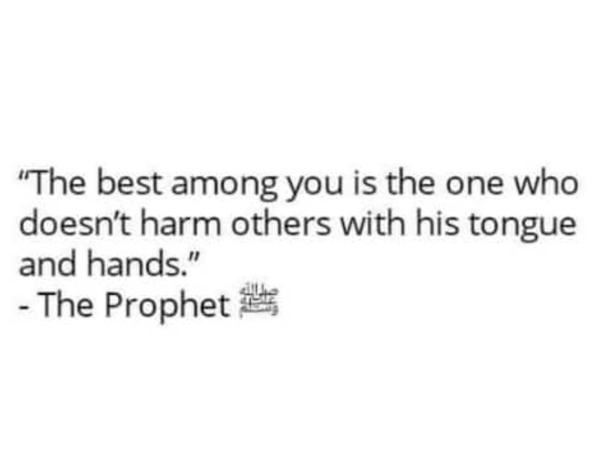 GhulameMuhammed's tweet photo. https://t.co/fclamQZwHw